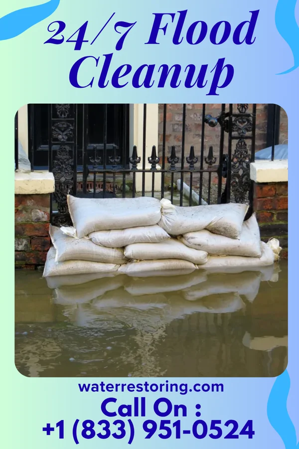 24/7 Flood Cleanup in Quamba, MN